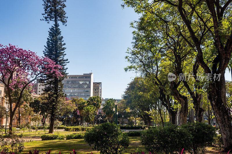 Minas Gerais, Savassi街区